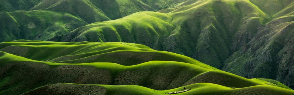 home cta 1024x333.jpg